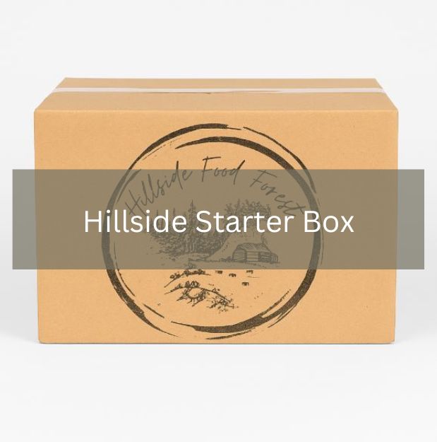 Hillside Starter Box