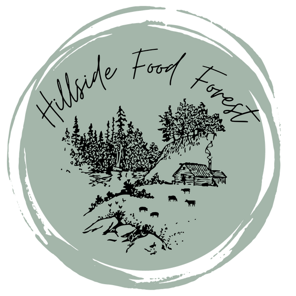 Hillside Food Forest