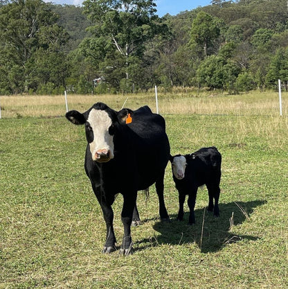 BEEF WAITLIST