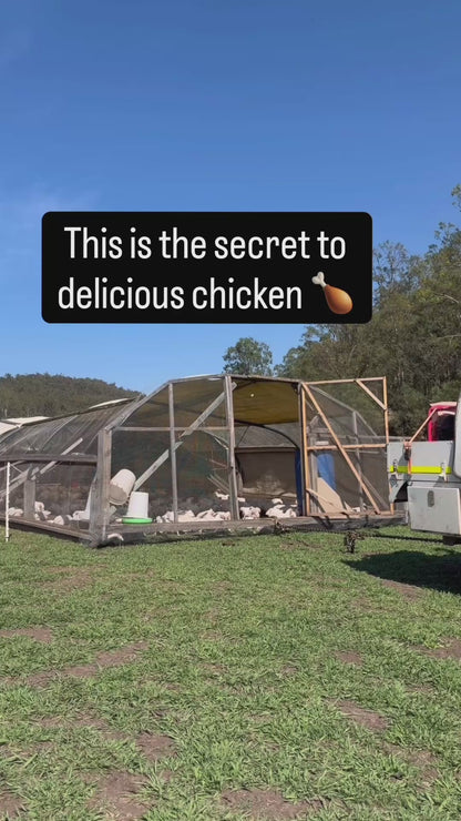 Hillside Whole Chicken Box Subscription | Harvest Club